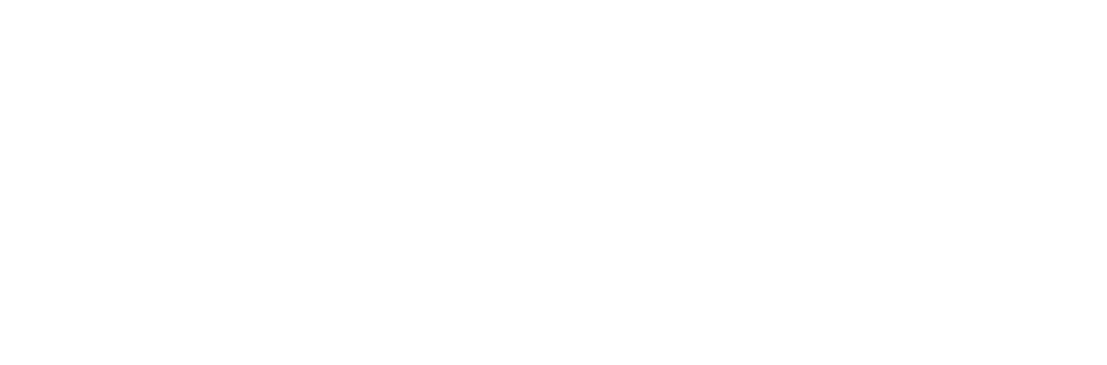 businessandpower-low-resolution-logo-white-on-transparent-background